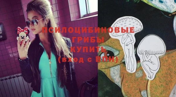 гидропоника Наволоки