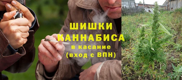 2c-b Надым